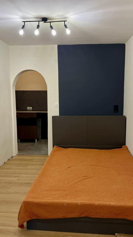 Едностаен, под наем, Център