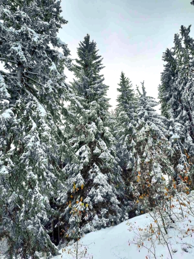 За продажба в Пловдив парцел  Извън Пловдив ID 85400